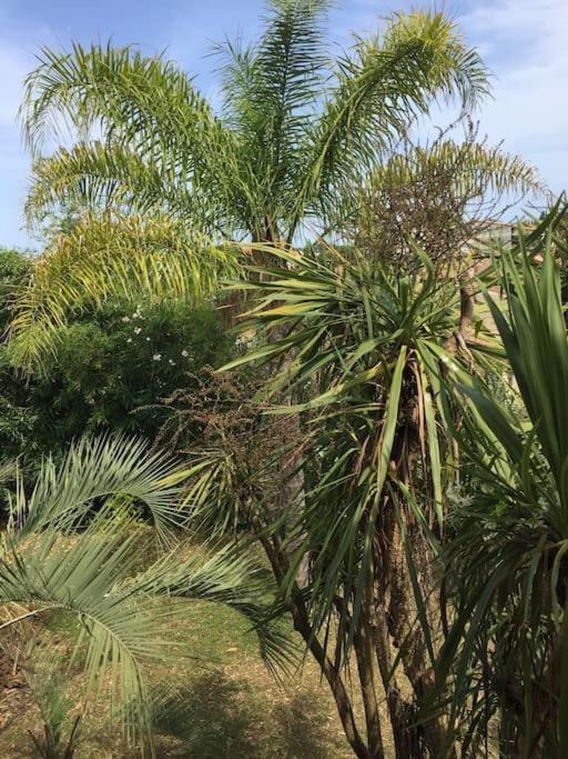 Mare E Monte , Jardin Mediterraneen Et Exotique. Гизоначча Экстерьер фото
